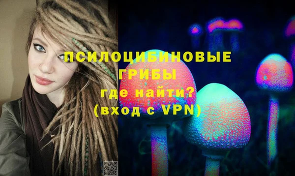 ПСИЛОЦИБИНОВЫЕ ГРИБЫ Туринск
